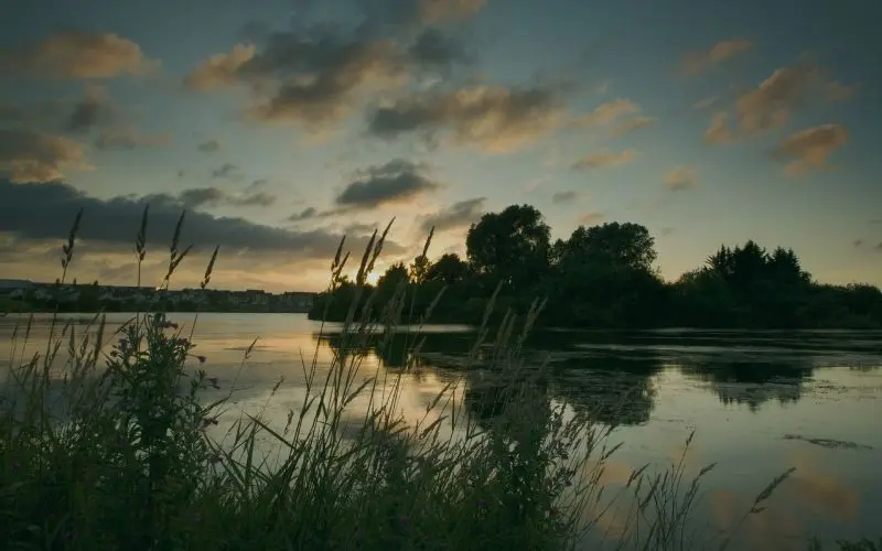 Craigavon Lakes at sunset