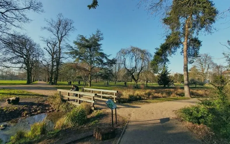 A wooden footbridge over a stream in a park in Ealing on a clear winter day
