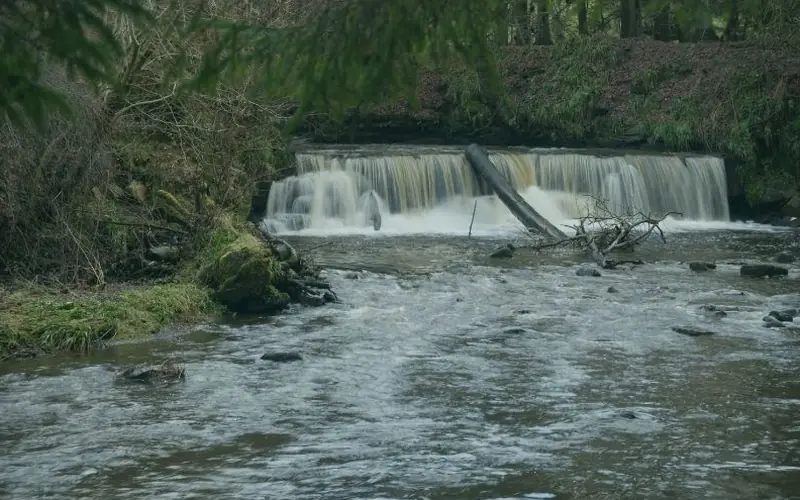Weir at Calderglen Country Park