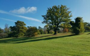 Park in Enfield