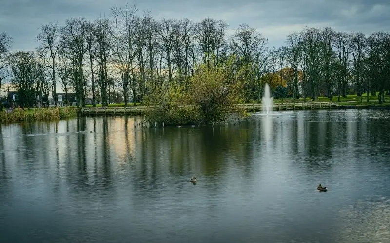 Park lake with a fountain in Kilmarnock