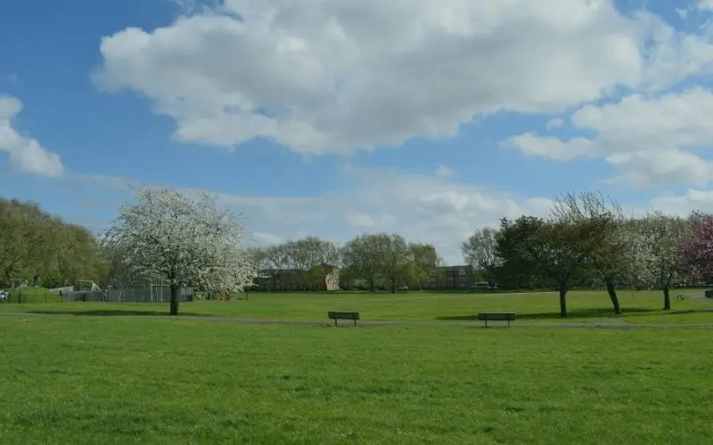 Blossom trees and benches on a park in Lewisham in spring