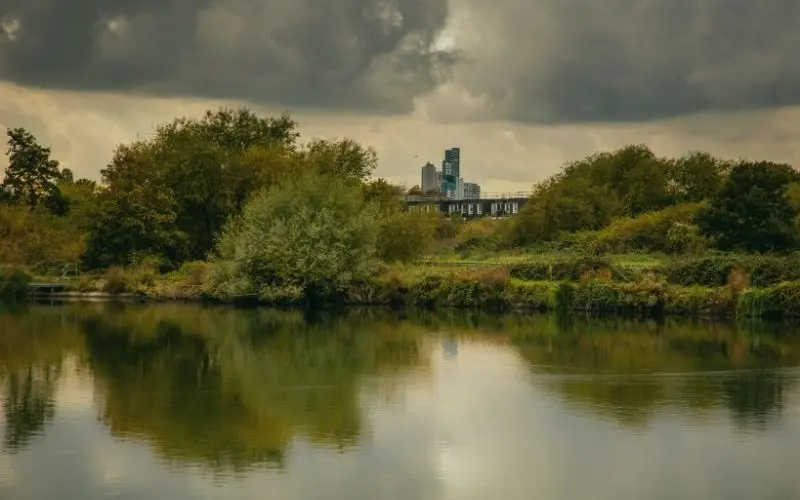 Walthamstow Wetlands under a grey sky, with tower blocks on the skyline