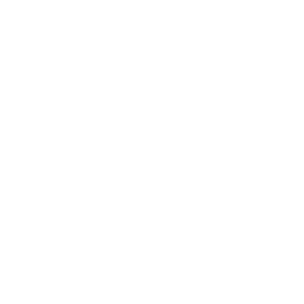 Switchity Logo white